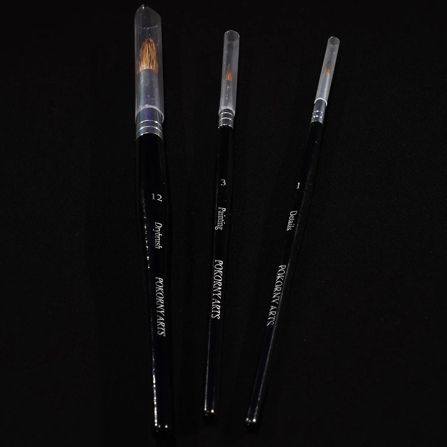Pokorny Paintbrushes (3 pack)